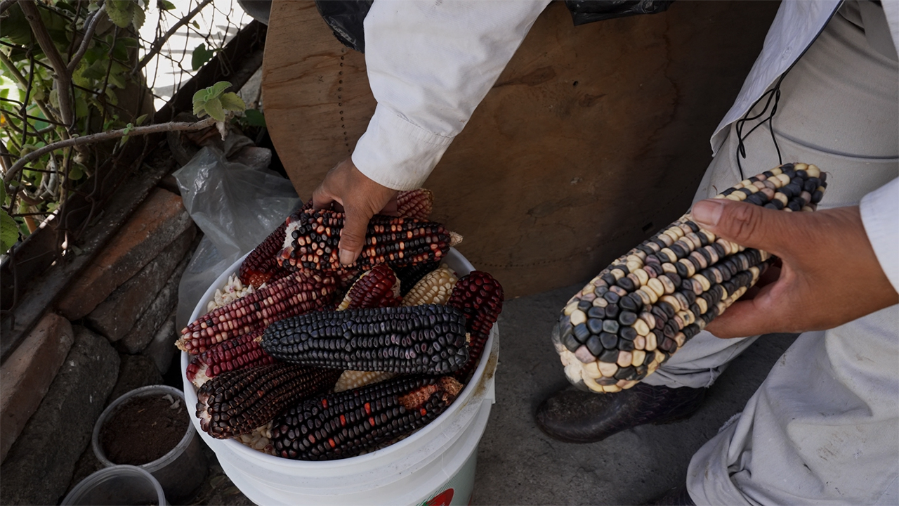 La Casa de la Abuela, espacio que promueve los productos agroecológicos.